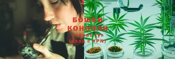 2c-b Алзамай