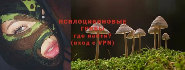индика Алексин