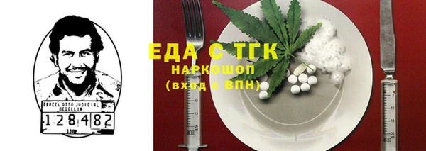 индика Алексин