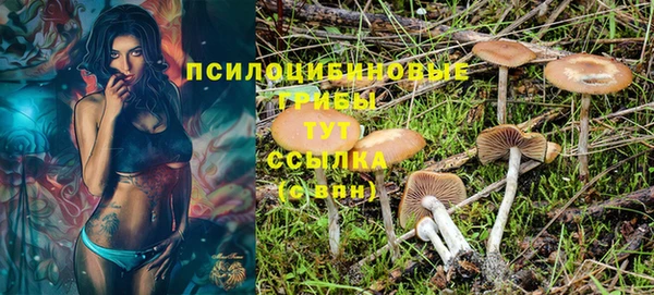 индика Алексин